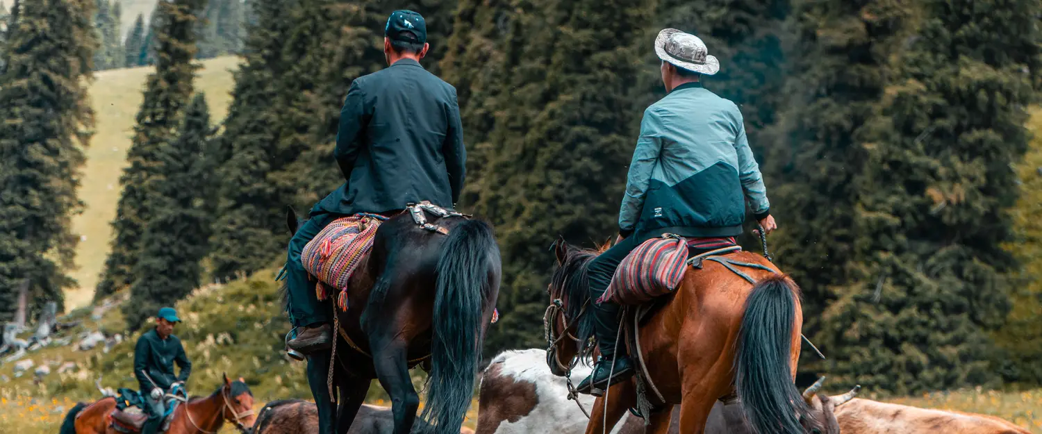 [Photo by Lu Li from Pexels](https://www.pexels.com/photo/men-in-horses-raising-cattles-8916937/)